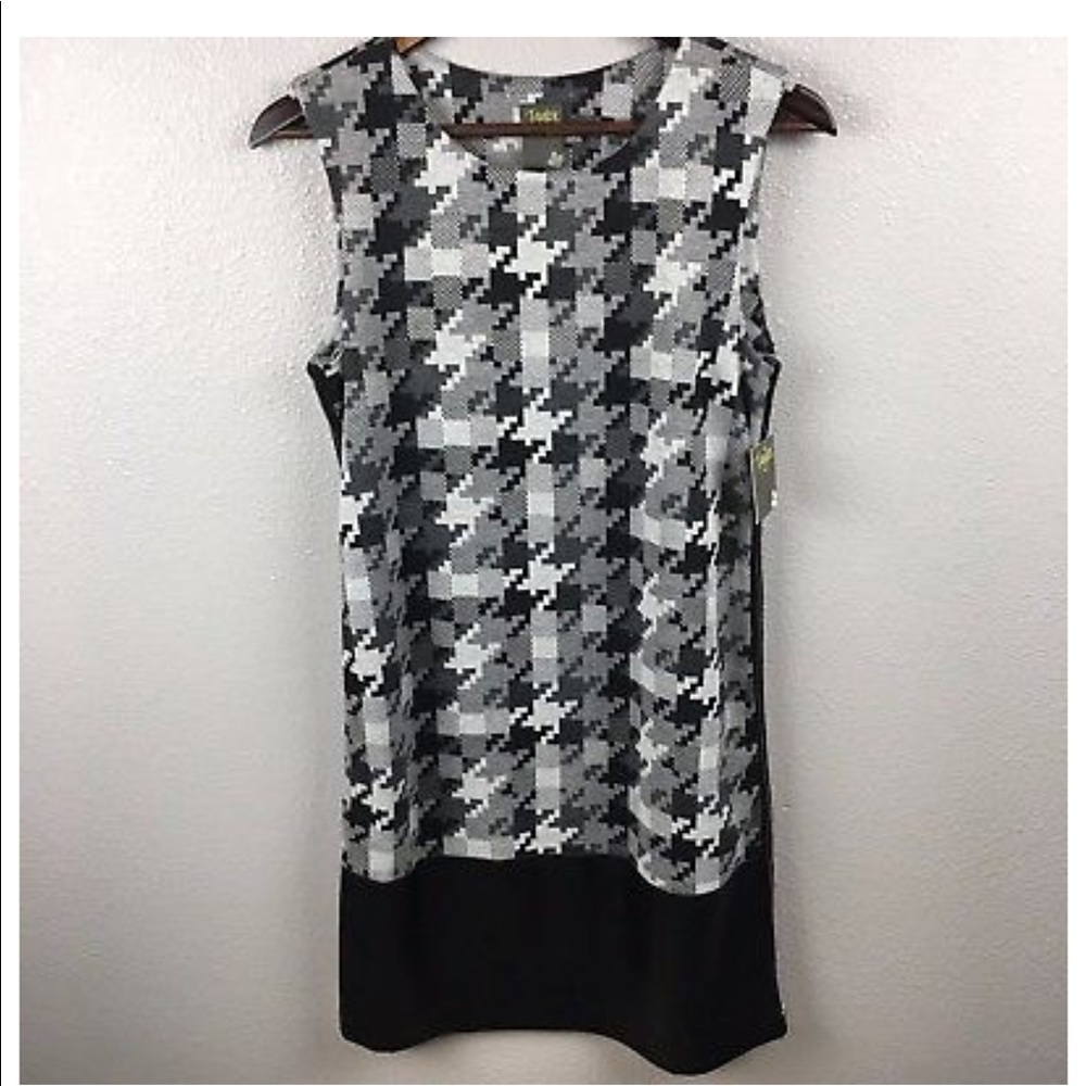 NWOT Taylor  Dress